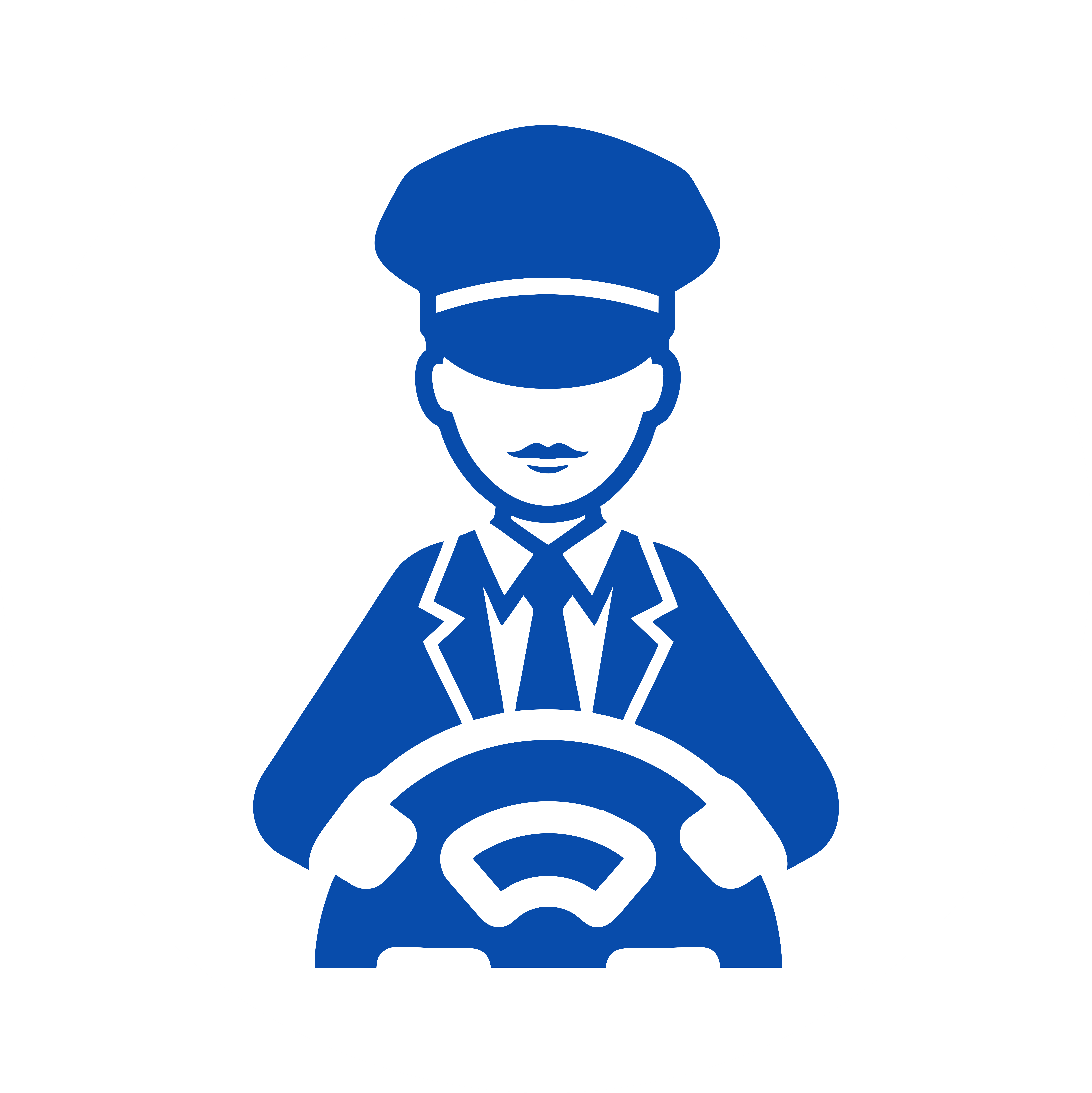 Premium Chauffeur Service Algarve